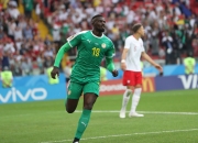 开云体育APP下载-足球盛况：塞内加尔队激情夺冠的简单介绍