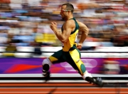 开云体育平台APP-跨界传奇，从足球场到篮球馆，胜利的基因如何穿越边界？