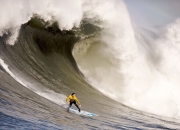 开云下载-锡安点燃赛场，凯尔特人团队篮球碾压青岛队