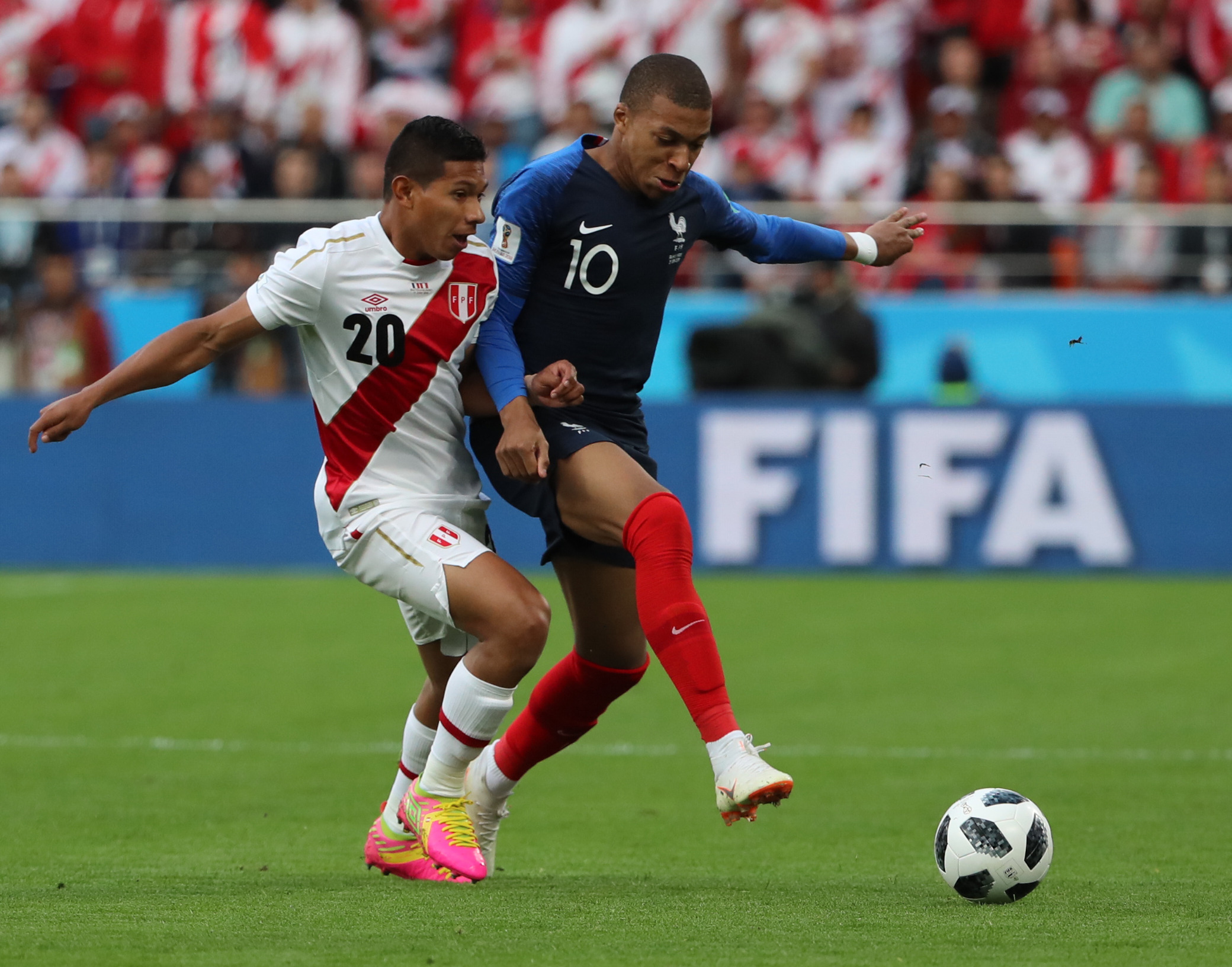 法国力克秘鲁，布鲁诺·费尔南德斯高光表现