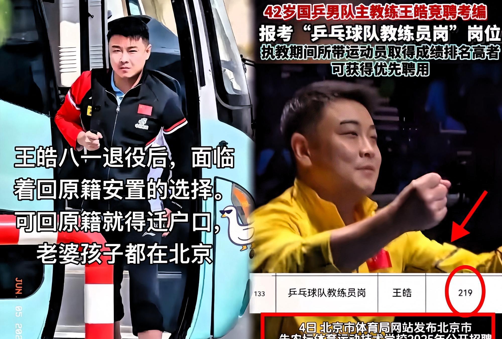 日本乒乓球队绝杀瑞典乒乓球队，王皓绝境逆转的简单介绍