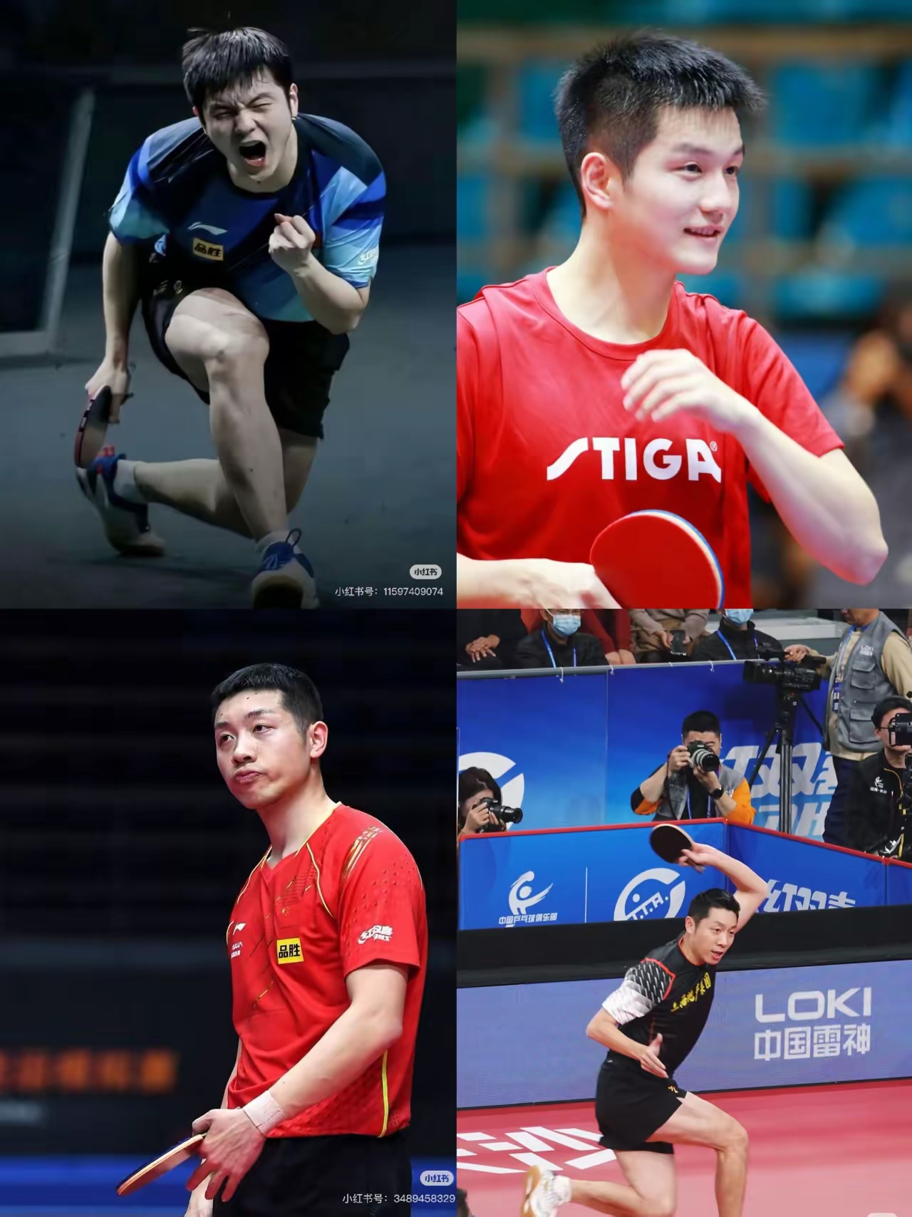 包含英国乒乓球队横扫韩国乒乓球队，许昕统治全场的词条