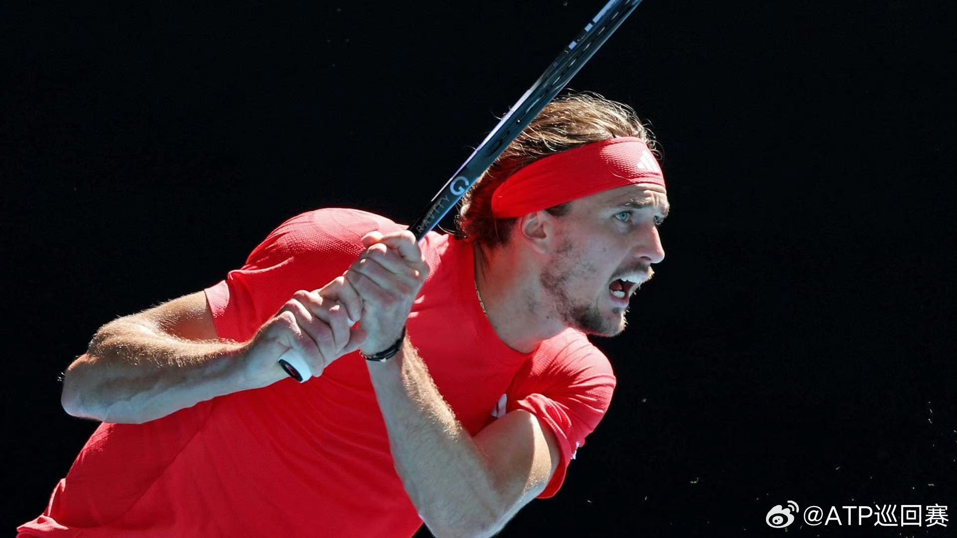 英国网球队逆转日本网球队，兹维列夫关键制胜的简单介绍