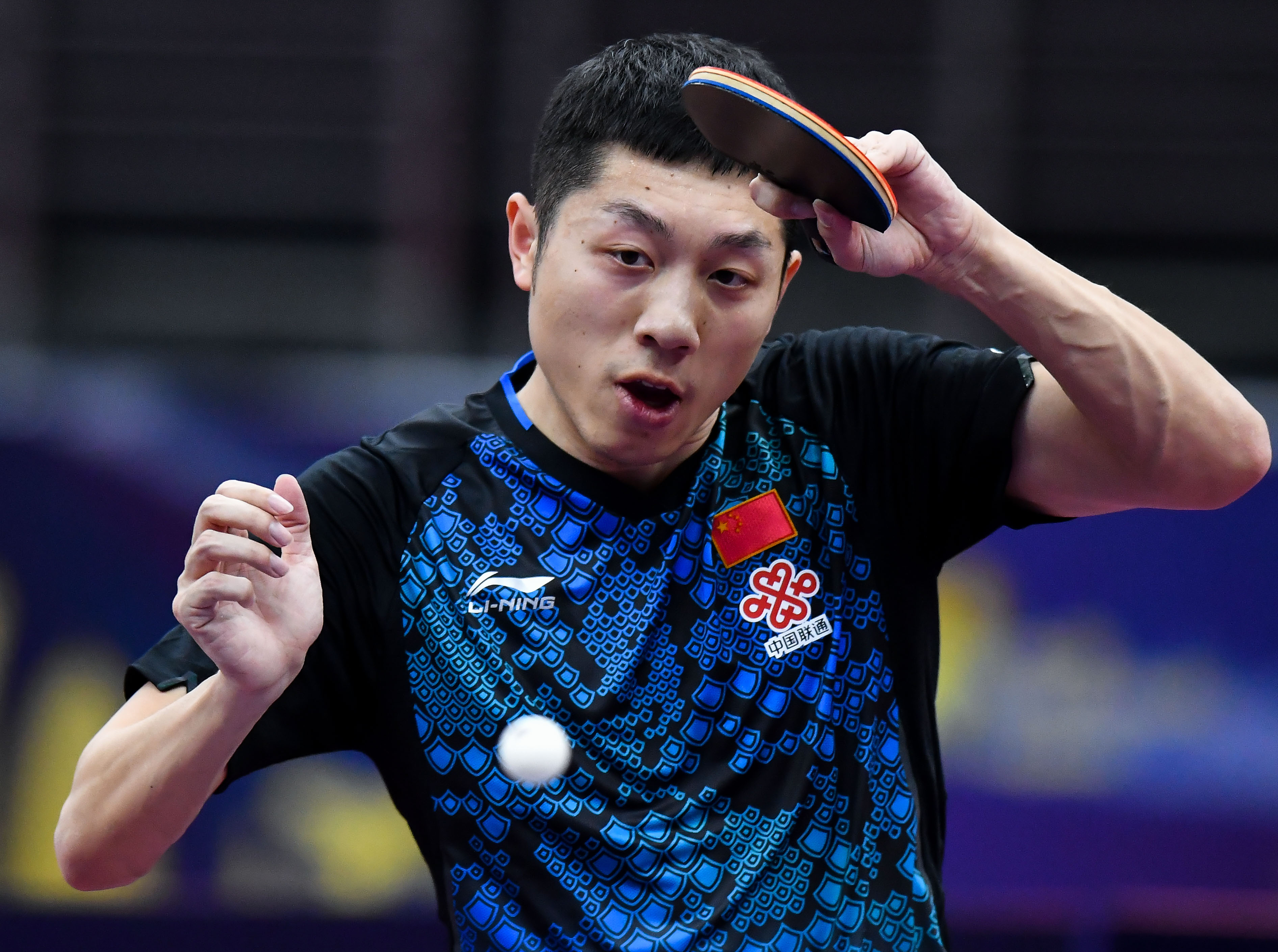 包含韩国乒乓球队轻取比利时乒乓球队，许昕绝境逆转的词条