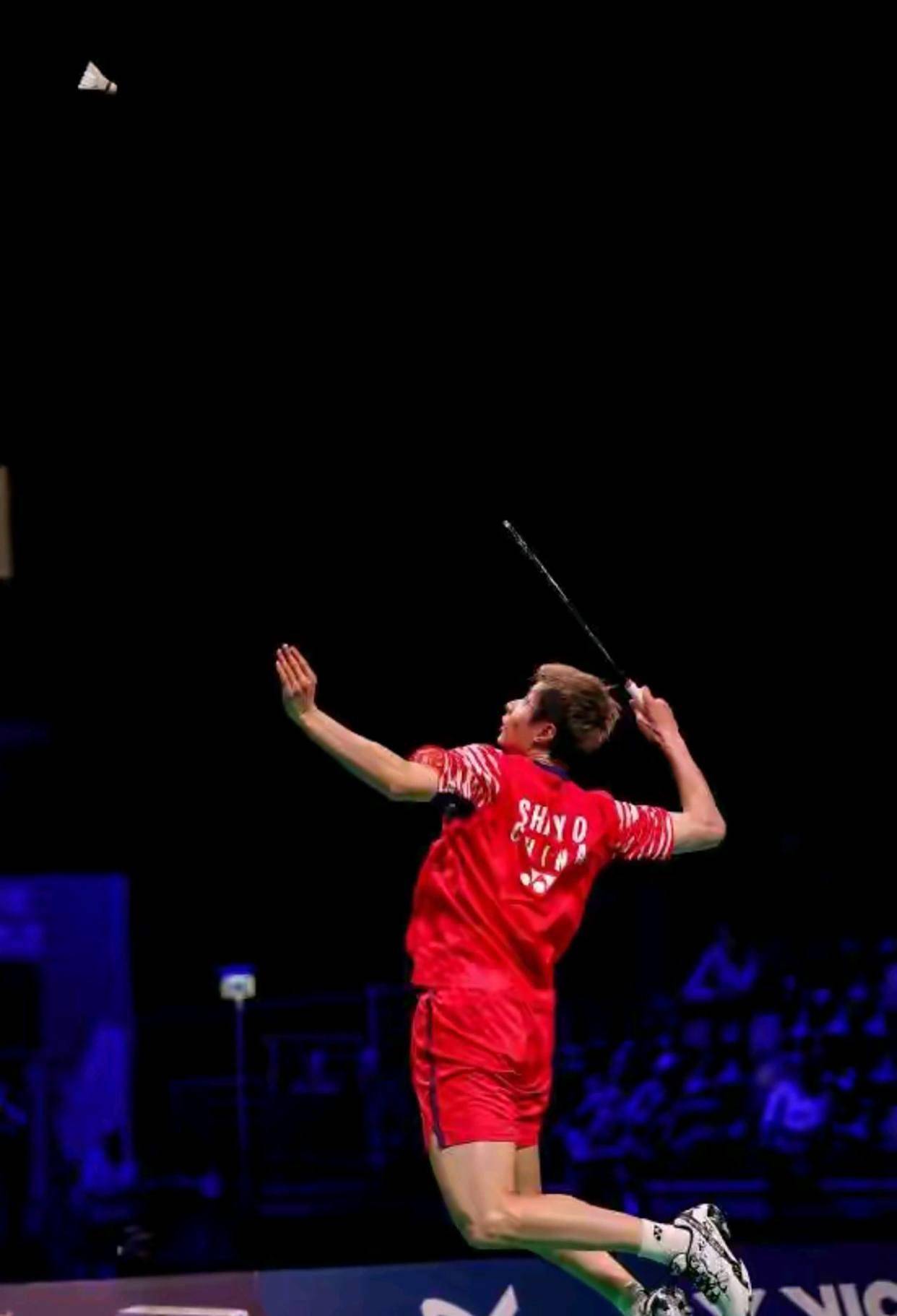 丹麦队比赛凶猛，一举夺取胜利宝座的简单介绍