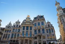 比利时欲擒捕意大利,胜利之路暗藏玄机 比利时欲擒捕意大利,胜利之路暗藏玄机