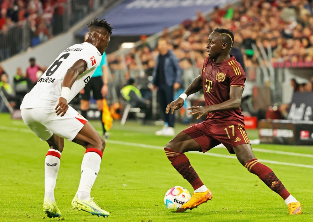 包含塞内加尔国家队勇夺冠军的词条