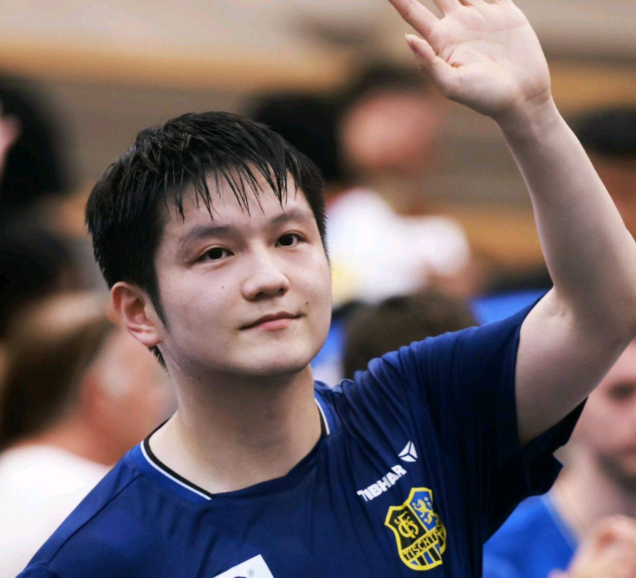 瑞典乒乓球队完胜比利时乒乓球队，樊振东绝境逆转的简单介绍